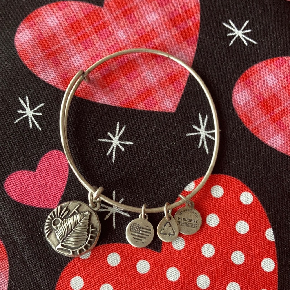 Alex and Ani Birch Energy Bracelet